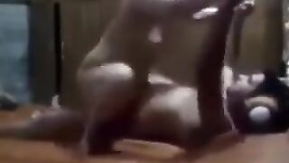 سكس علي السرير نيك جامد مصرية راكبة الزب باحتراف - فيديو سكس جديد