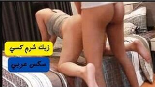 زب مصري طويل شرم كس مصرية في الفندق - افلام نيك جديدة - فيديو سكس مصري - موقع سكس كله مصري