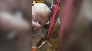 موزة مربربة علشها بزاز ساخنة نار تركب وتدلع علي الزب - سكس عربي